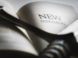 Libri storia 297 0 Libri di storia